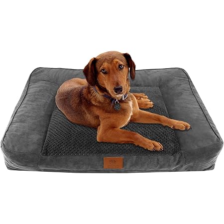 akc beds