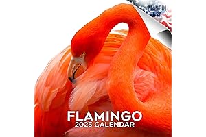 2024 2025 Flamingo Calendar