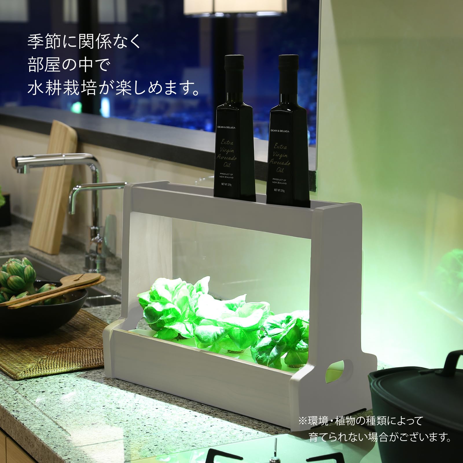Amazon | 灯菜 LED照明水耕栽培キット ホワイト OMA06-WH | 農業・園芸 