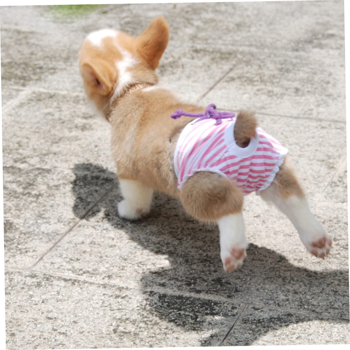 HEMOTON Pet Dog Diapers Adjustable Cotton Female Dog Pants Washable Stripe Design for Period Use Comfortable and Practical to Protect Floors and Furnishings
