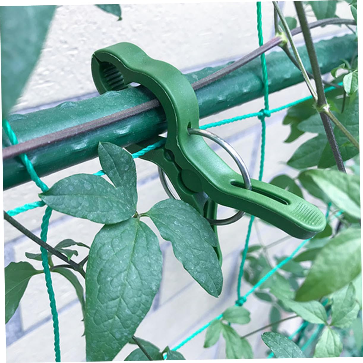 Sosoport 3 Sätze Gartenclips Für Pflanzenstützen Robuste Clips Zur Unterstützung Von Tomaten Gemüse Und Kletterpflanzen Einfache Handhabung Für Effektives Pflanzenwachstum 60 Stück * 3