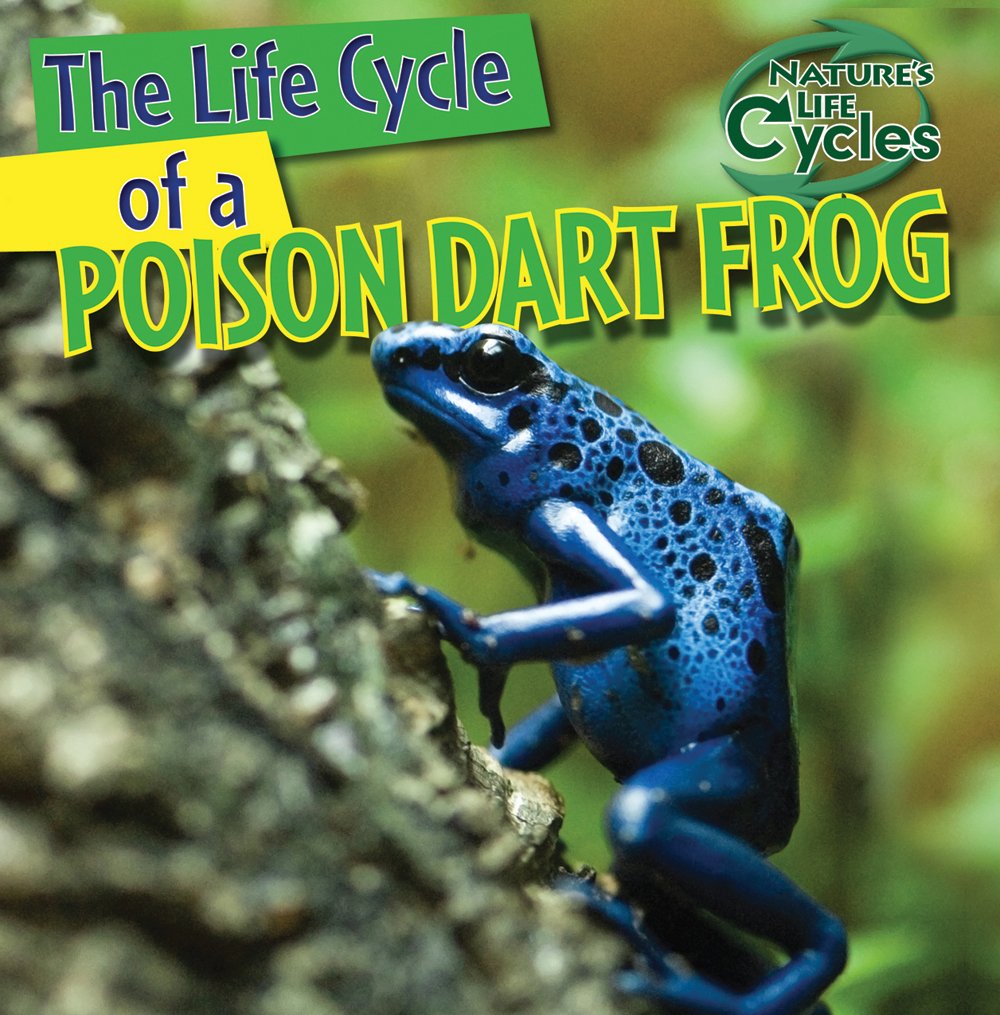 Blue Dart Frog Life Cycle