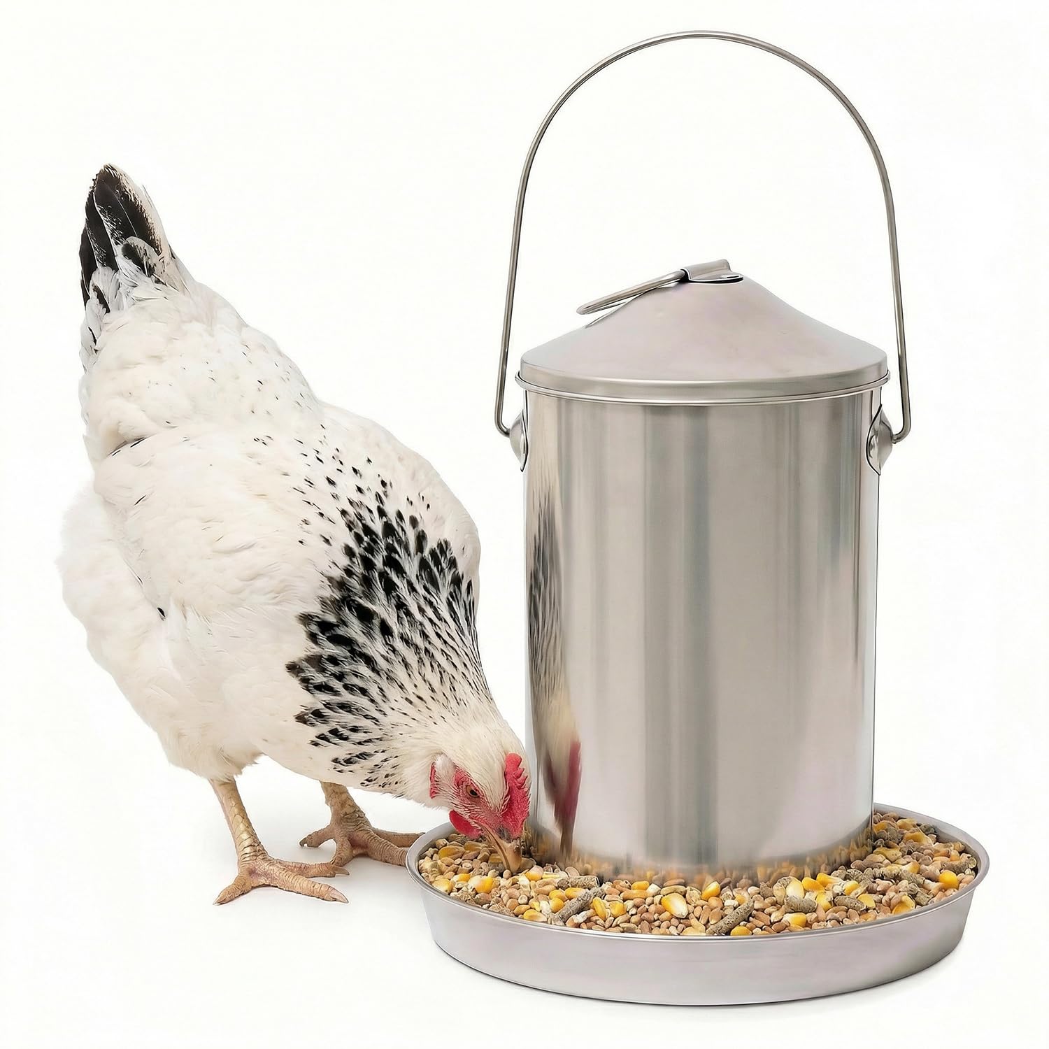 Plexon Hanging Feeder