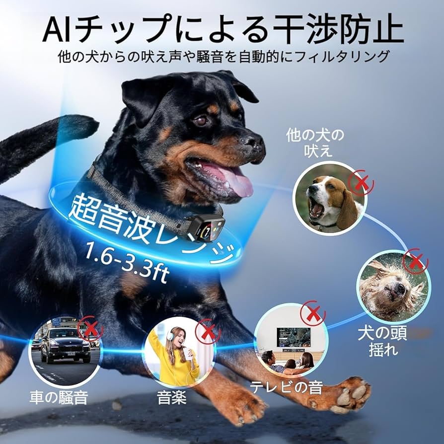 WONBULL 無駄吠え防止トレーニング WONBULL 無駄吠え防止トレーニング 18.jpg