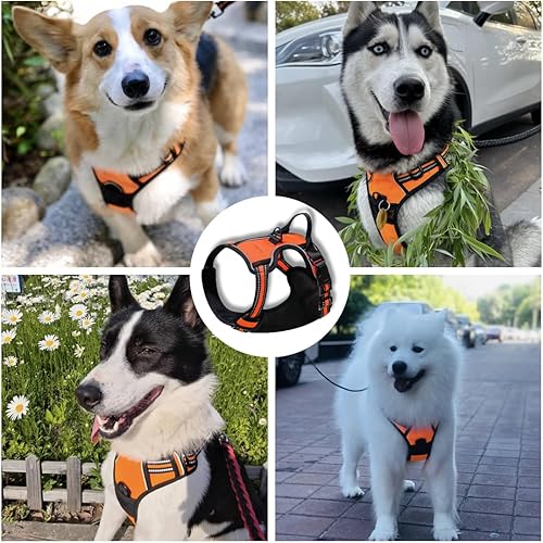 Miniatura 2 de Cómodo juego de arnés y correa para perro, sin tirones, sin estrangulamiento, arnés en el pecho para perro con correa ajustable para exteriores,
