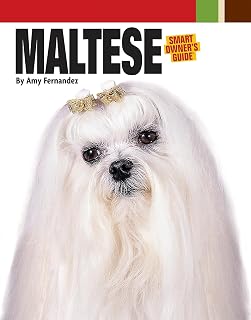 Maltese (HC) (Smart Owner's Guide (Hardcover))