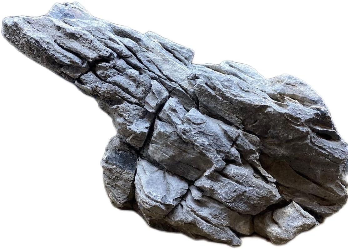 MSS-6641セレクト品青龍石50cm親石 龍王石 竜王石 水質改善に