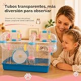 Ver la foto 7