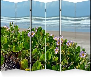 6 Panel Folding Room Divider Sea mornging Glory Wall Privacy Screen Portable Partition Room Separator Panel for Home Office Bedroom
