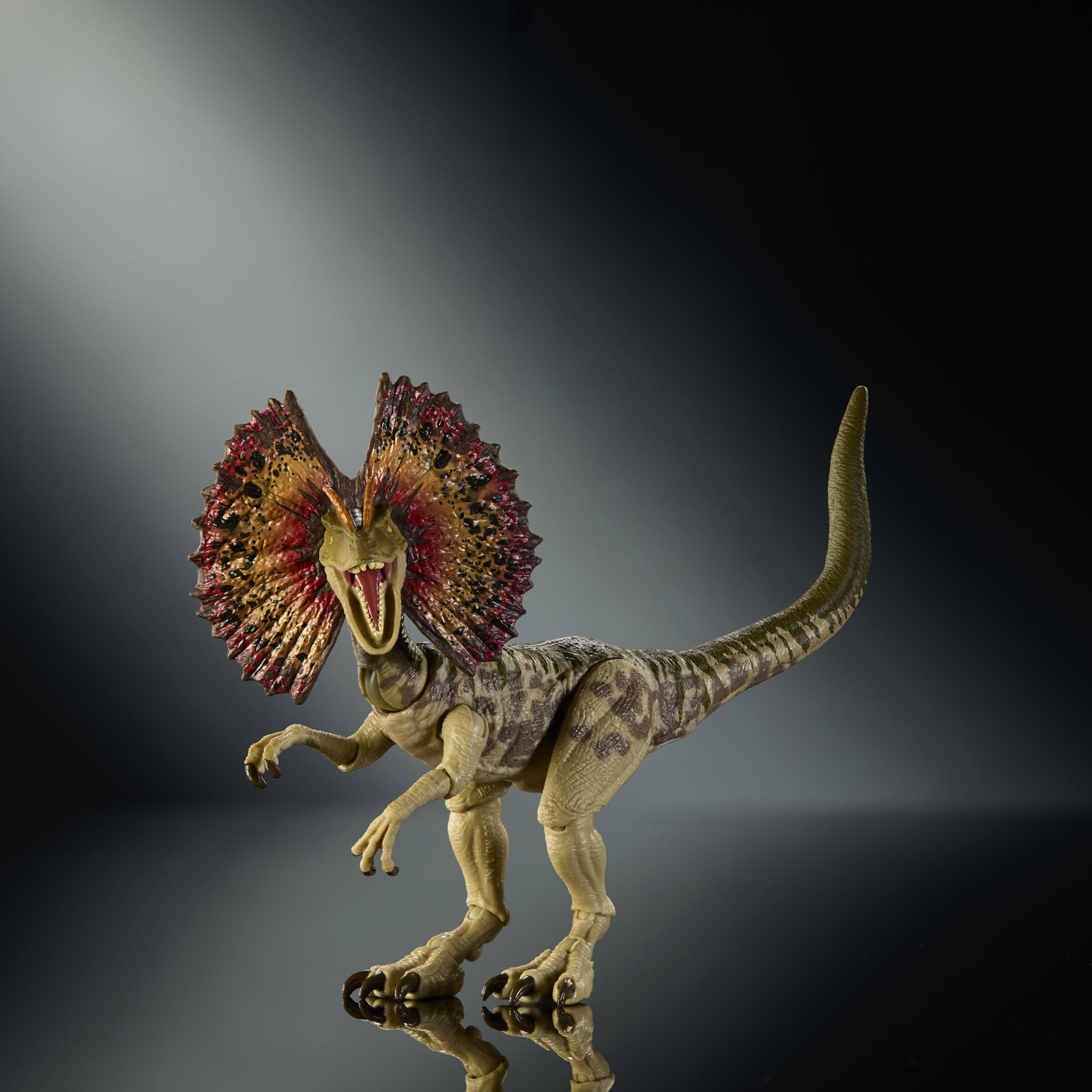 Mattel Jurassic World Colección Hammond Dilofosaurio Figura de acción de Dinosaurio. Diseño de Primera Calidad con Ojos realistas, articulaciones y Cabeza Adicional, JKM93