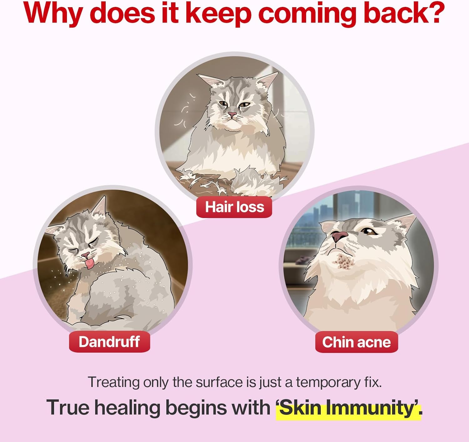 Doctor By Cat Silk Derma Skin and Coat Supplement for Cats Itch Skin Relief, Dandruff Treatment Scab, Overgrooming, Allergy Relief for Cats 30 lickable Formula Individually Packaged, Chicken(1 Pack)