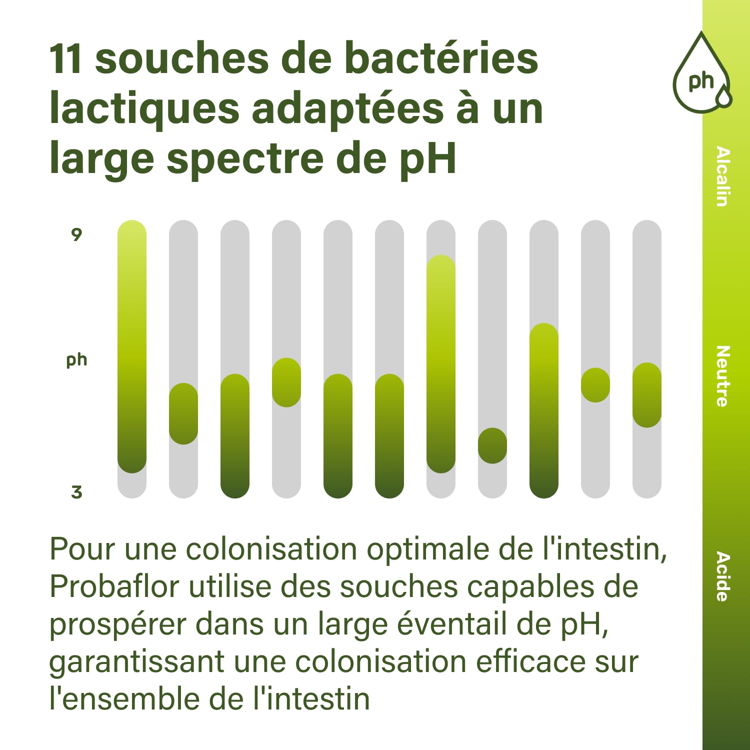 Nupure Probaflor 110 gélules, 20 milliards d'UFC, 11 souches bactériennes, inuline, Lactobacillus salivarius SP2