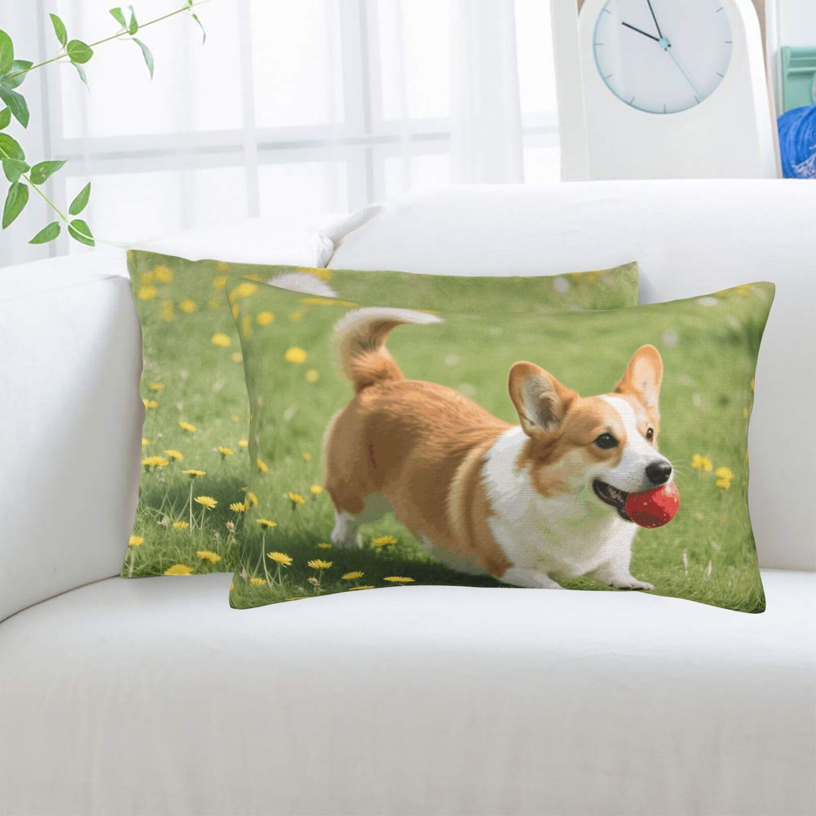 2 Pack Standard Pillowcases Sets, Ultra Soft Comfort Microfiber Plush Pillow Cases Corgi Decorative Throw Pillow Cover with Hidden Zipper for Bedroom, Sofa, Couch,20"X30"