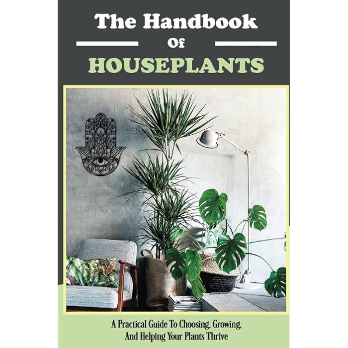 Buy Houseplants For Beginners,How To Choose Plants In Your Home,How To Grow House Plants,How To