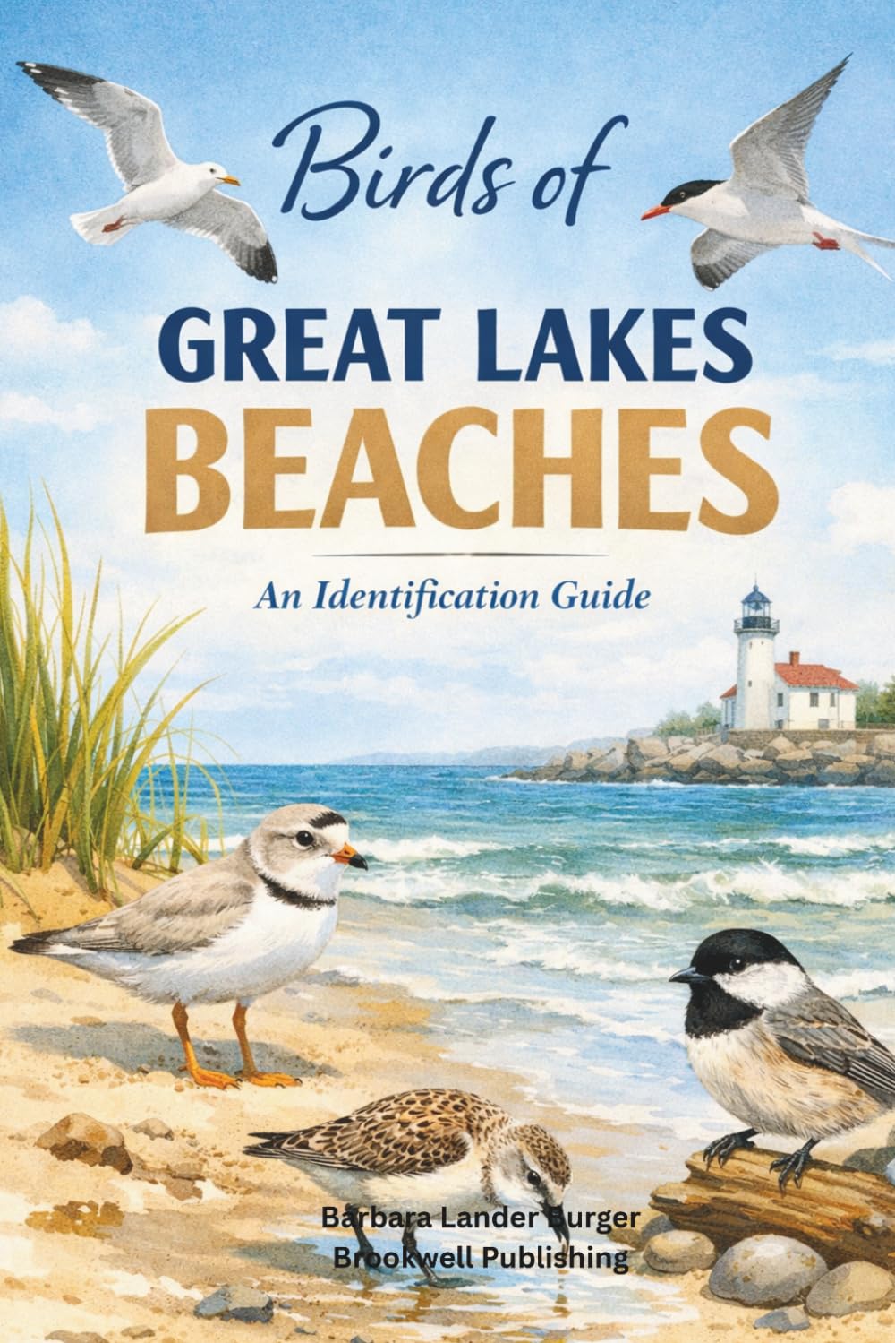 Birds of Great Lakes Beaches: An Identification Guide (Birds of America Identification Guides)