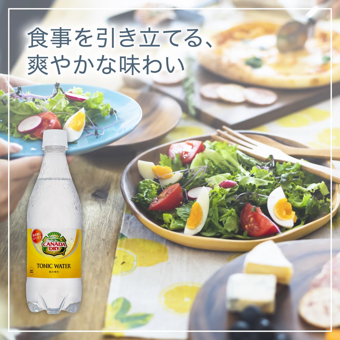 Amazon | コカ・コーラ カナダドライ トニックウォーター 炭酸水 