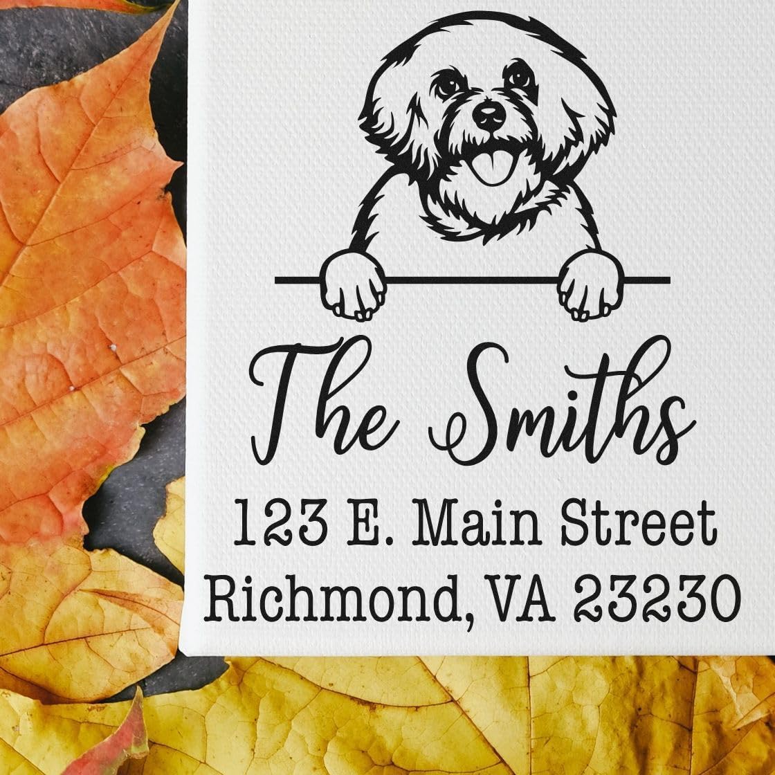Self-Inking Maltipoo Peekaboo Custom Address Stamp, Maltipoo Address Stamp, Available in 11 Ink Colors, Personalized, Size 1-5/8" Square