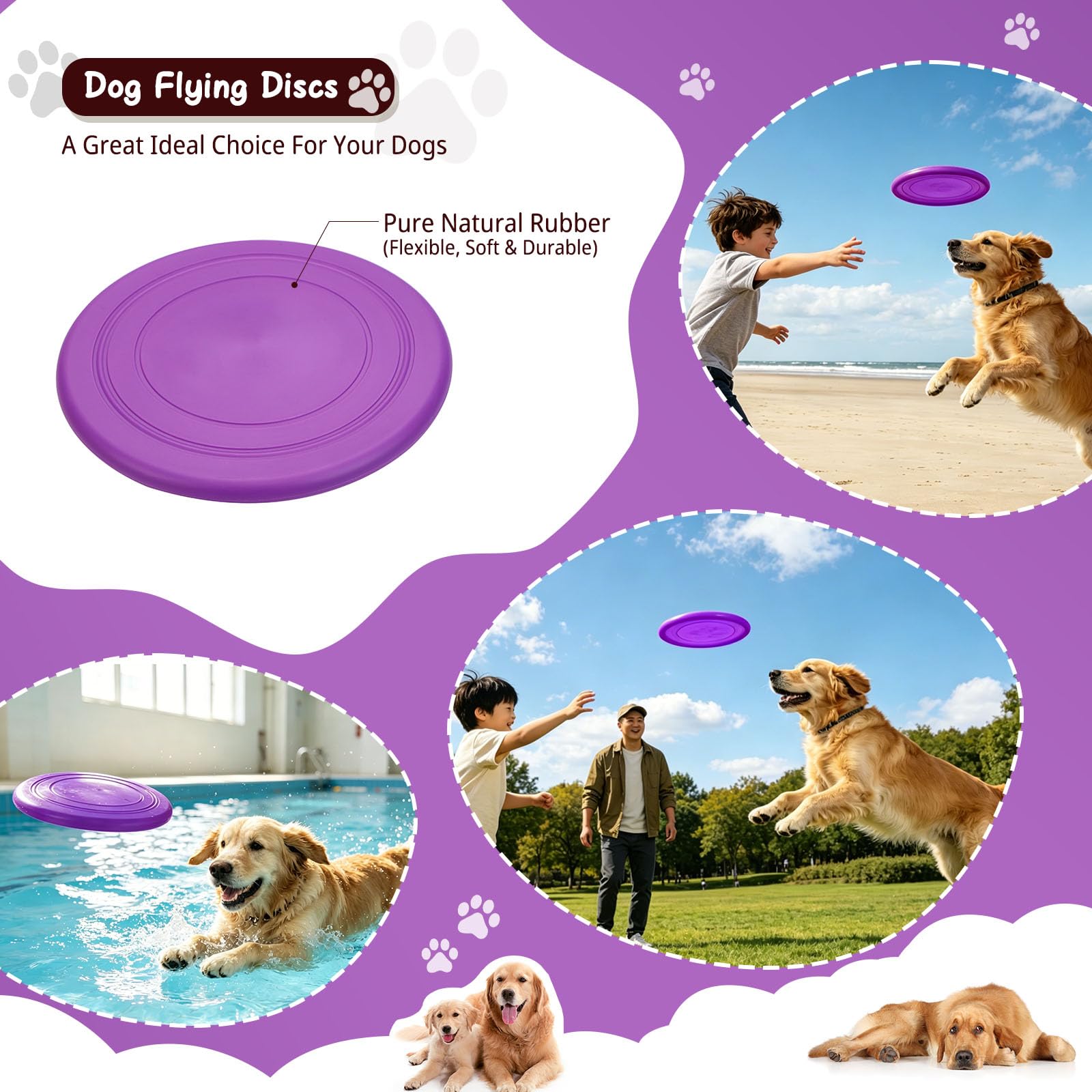 Arnes Perro, Conjunto de arnés y Correa para Perros cinturón de Seguridad, comederos Plegables y dispensador de Bolsas para excrementos. Ideal para Entrenamiento, Paseos y Viajes