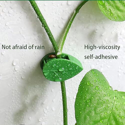 Miniatura 5 de Nicunom 150 clips de pared para escalada de plantas con 180 calcomanías adhesivas, clips de plantas para plantas trepadoras, clips invisibles de vid