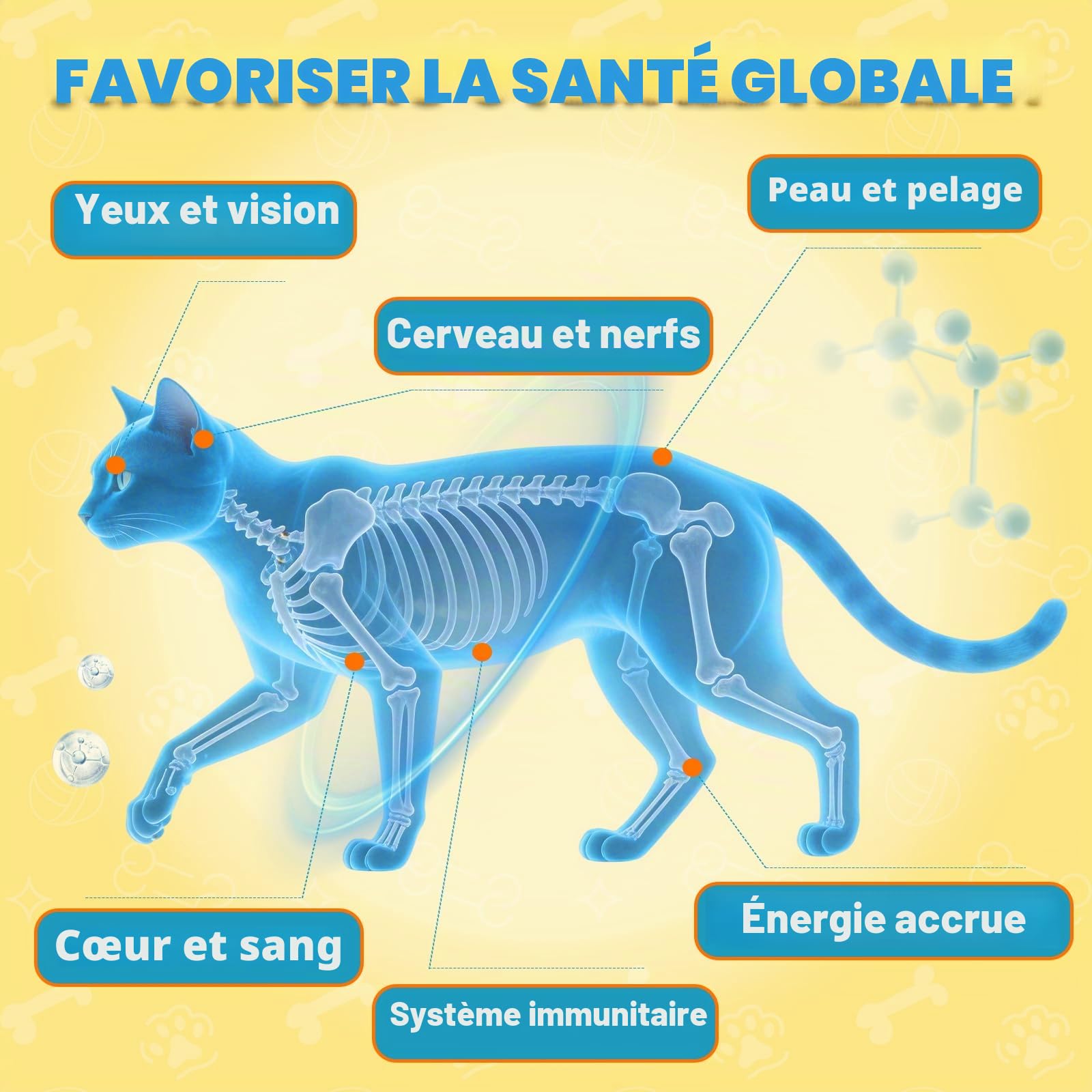 Taurine pour Chats Cardiaque Vision L'éNergie Vitalité Immunitaire 60ML | Coenzyme Q10, L-Carnitine, L-Arginine & Vitamines, Taurine Liquide Pour Chats, CompléMent Taurine Pour FéLins