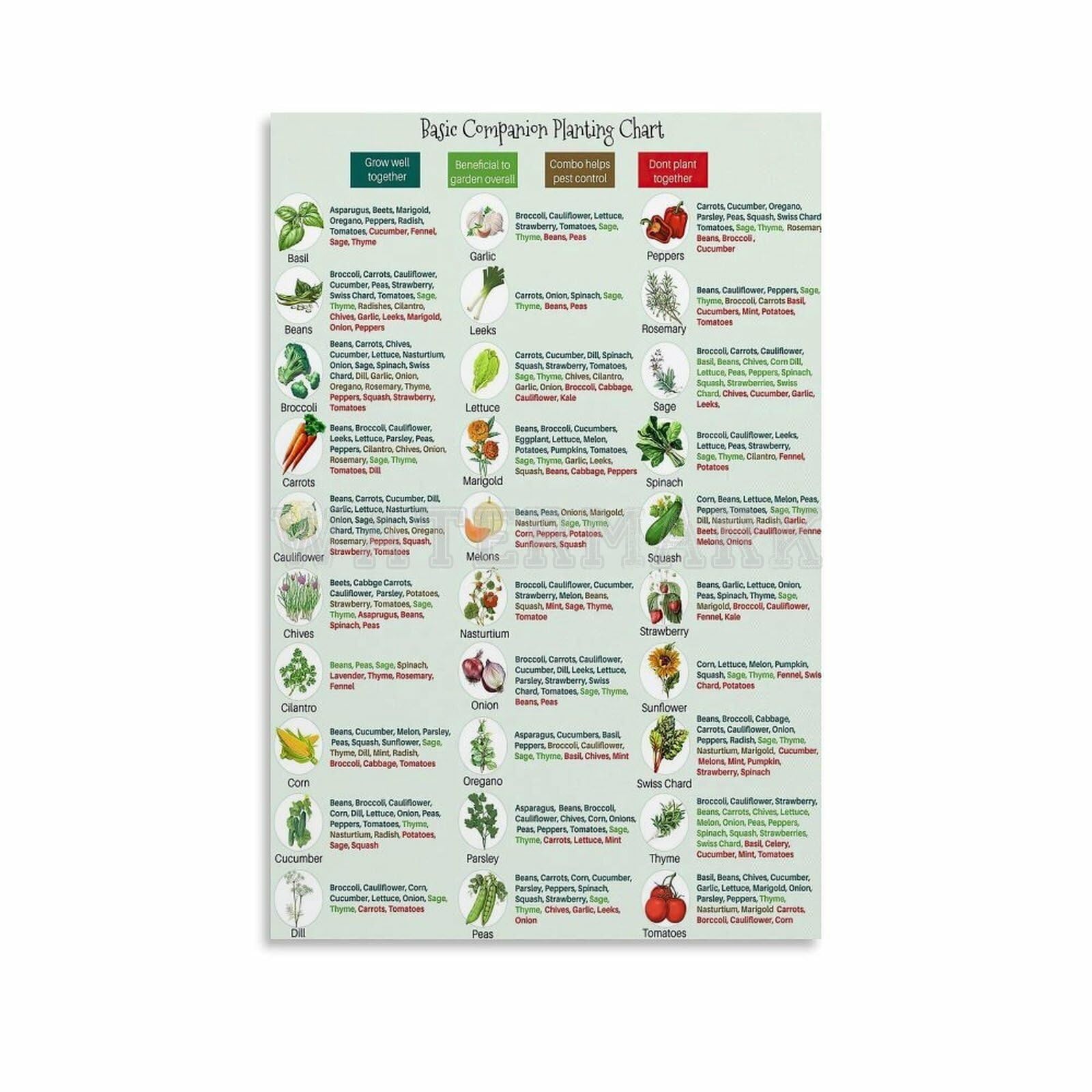 XGINERFEX Herb & Vegetable Companion Planting Chart - Garden Planting Guide Reference Poster(Unframed,12x18inch(30x45cm))