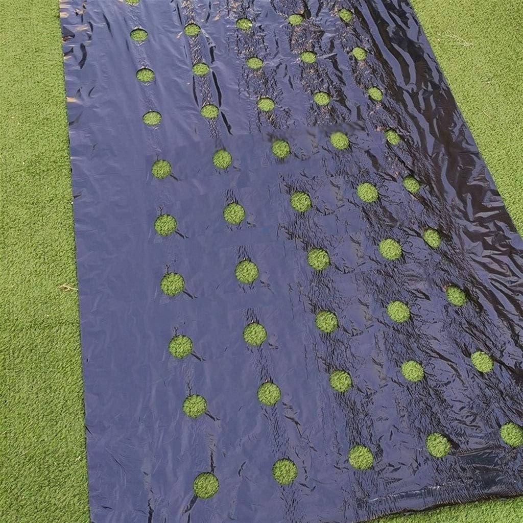 1pcs 5M~50M 5Holes Black PE Film Garden Vegetable Membrane Agricultural Seeding Plastic Perforated Plants Mulching(95cm Width 0.02mm Thickness) (Size : 0.95Mx5M)