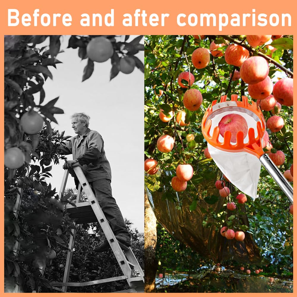 MANGLI 4,2 m raccogli frutta, raccogli mele, con manico telescopico, raccogli ciliegie in acciaio inox e sacchetto di cotone, raccogli frutta per ciliegie, pere, agrumi, pesche