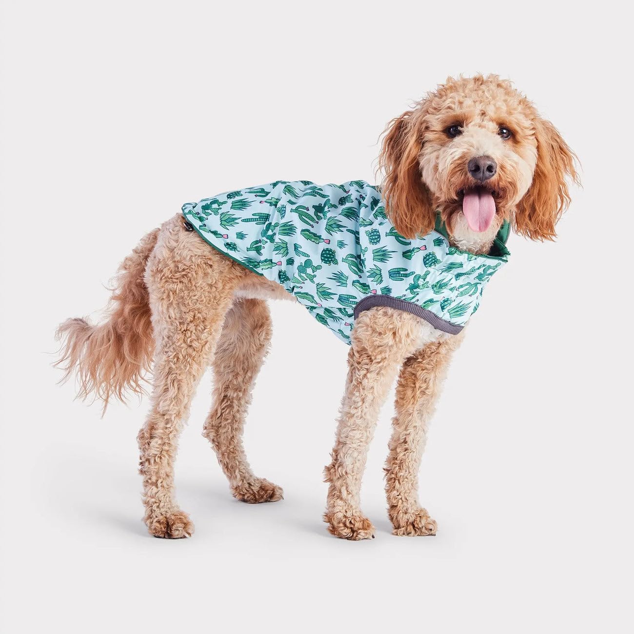 GF Pet Reversible Elasto-Fit Raincoat - Green/Green - 3XL