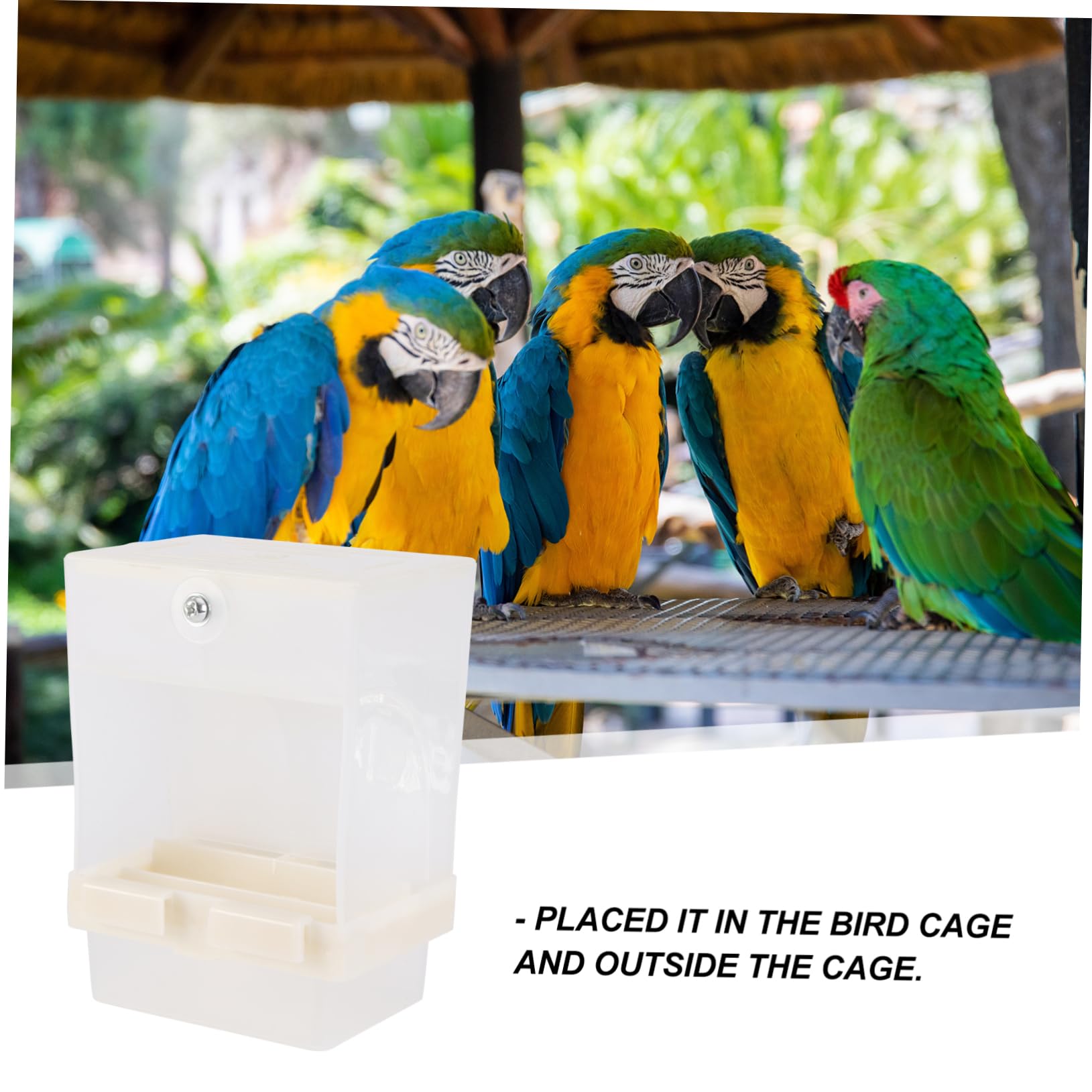 Mangeoire Automatique pour Perroquets 3 Pièces Facile À Ouvrir pour Animaux De Compagnie pour Pigeons Boîte À Nourriture pour Oiseaux