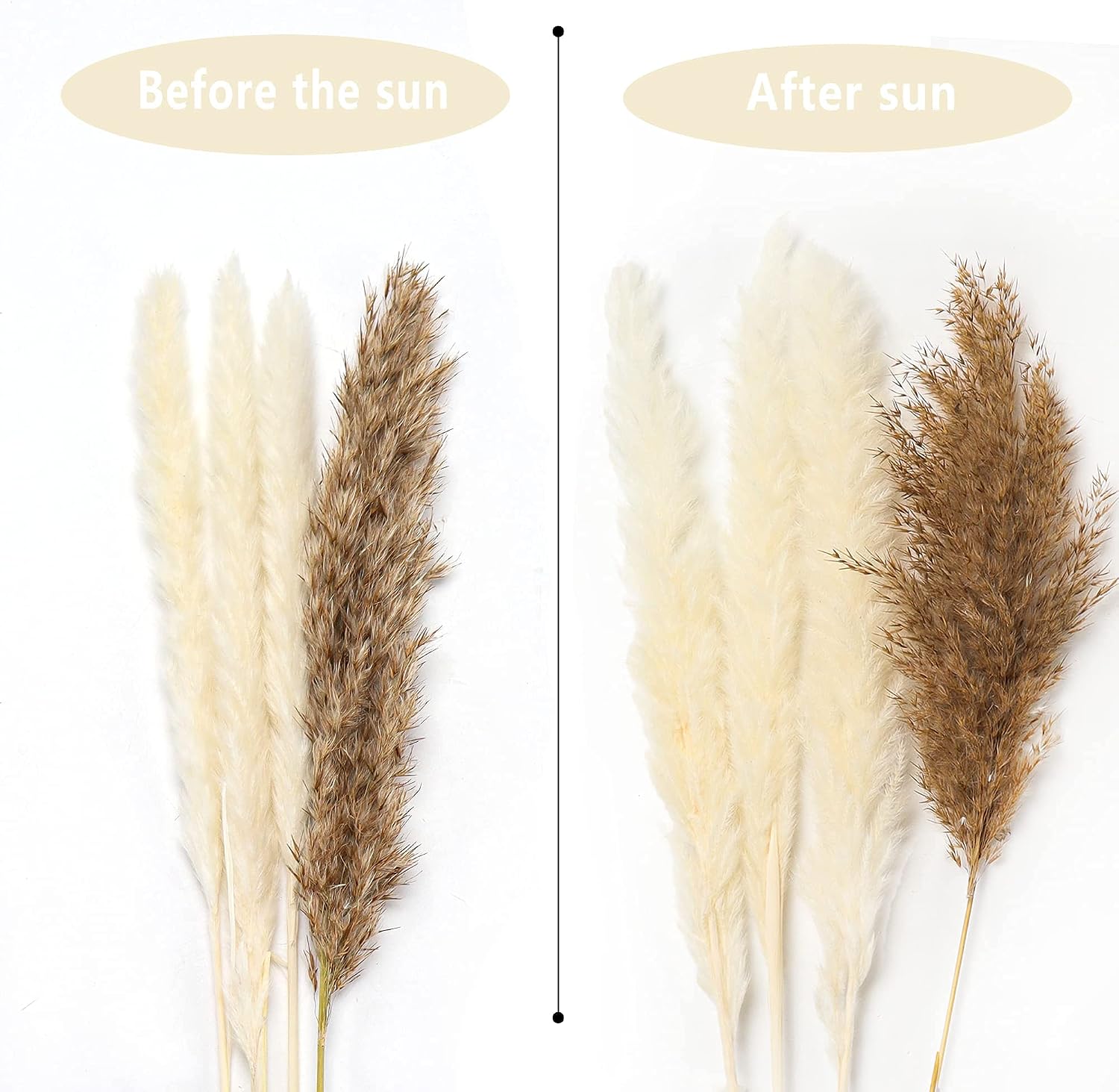 Natural Dried Pampas Grass, 65 Pcs Pampas Grass Decor, Pompous Grass Plants for Wedding Kitchen Yard Home Decor, Boho Pampas Grass/ Home Life