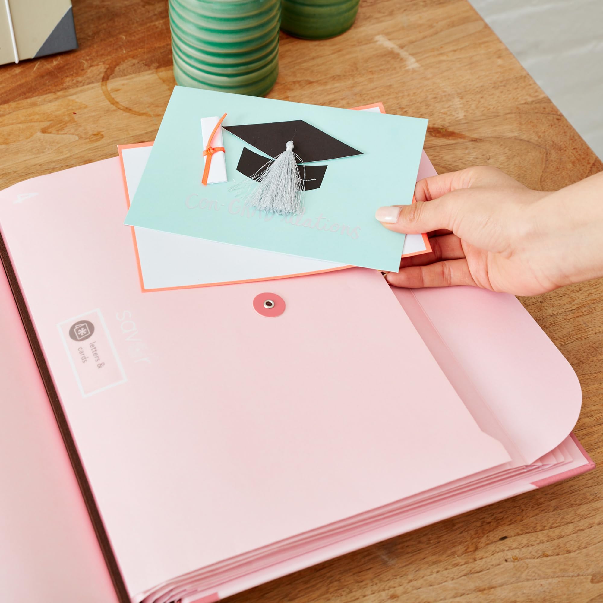 The Folio® - Organizer per documenti importanti, di Savor | Raccoglitore con etichette guidate, senza acidi, con 10 tasche, porta documenti per documenti domestici, documenti legali e medici (rosa)
