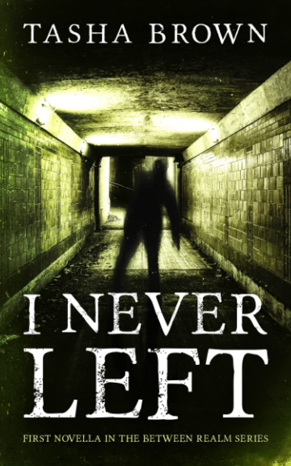 I Never Left: First Novella in the Between Realm series: 1