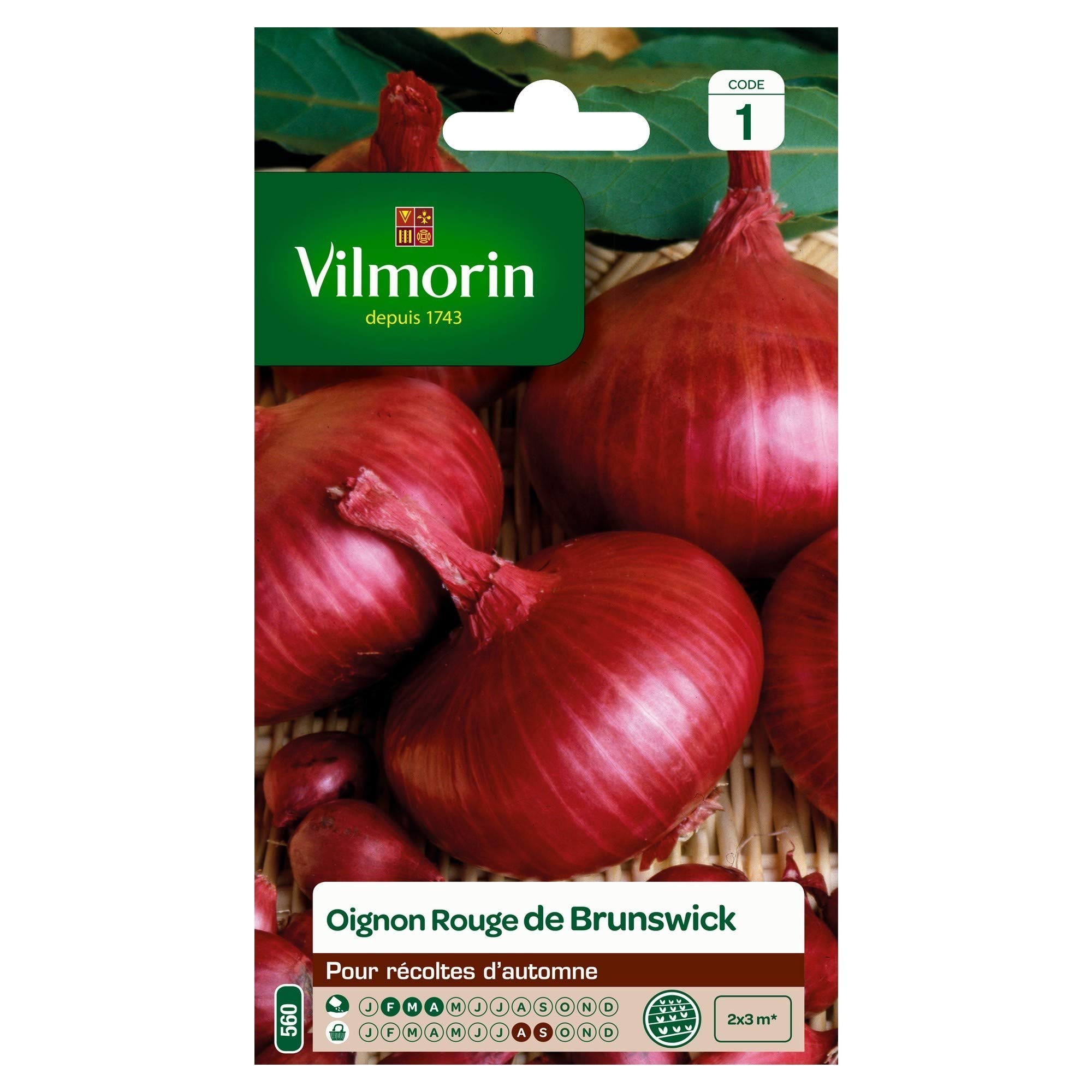 bolsa de semillas Cebolla roja Vilmorin: Amazon.es: Jardín