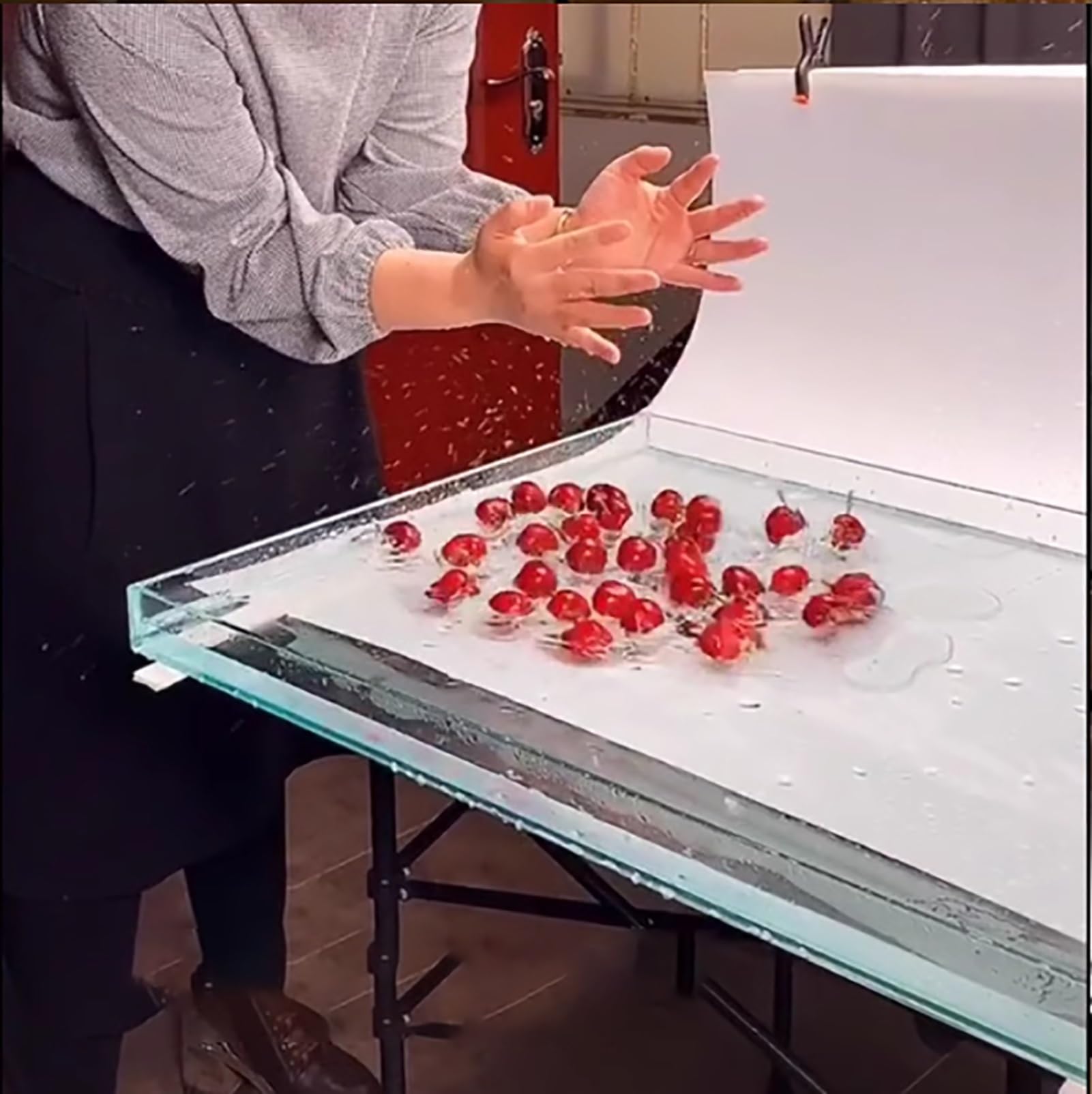 Vitrine Basse en Acrylique Transparent, bac à Eau pour Photographie (60 x 50 x 10 cm), Accessoires de Prise de Vue créatifs, idéal pour l'exposition et Le Rangement, Hauteur 6/10 cm.