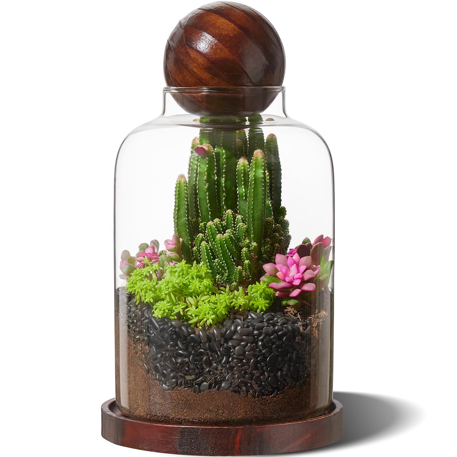 Yangbaga Tall Glass Terrarium Jar