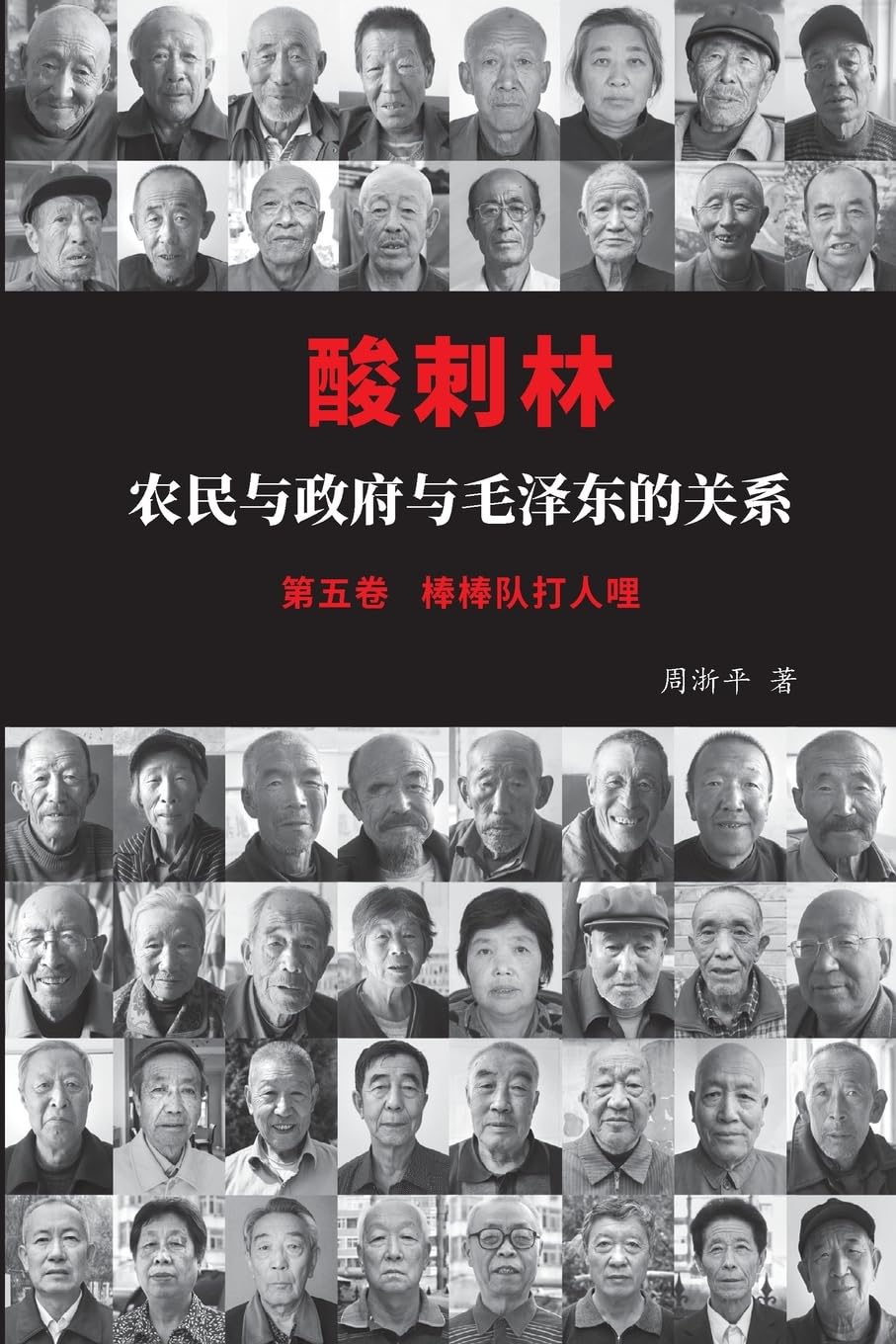 酸刺林:农民与政府与毛泽东的关系(五卷)