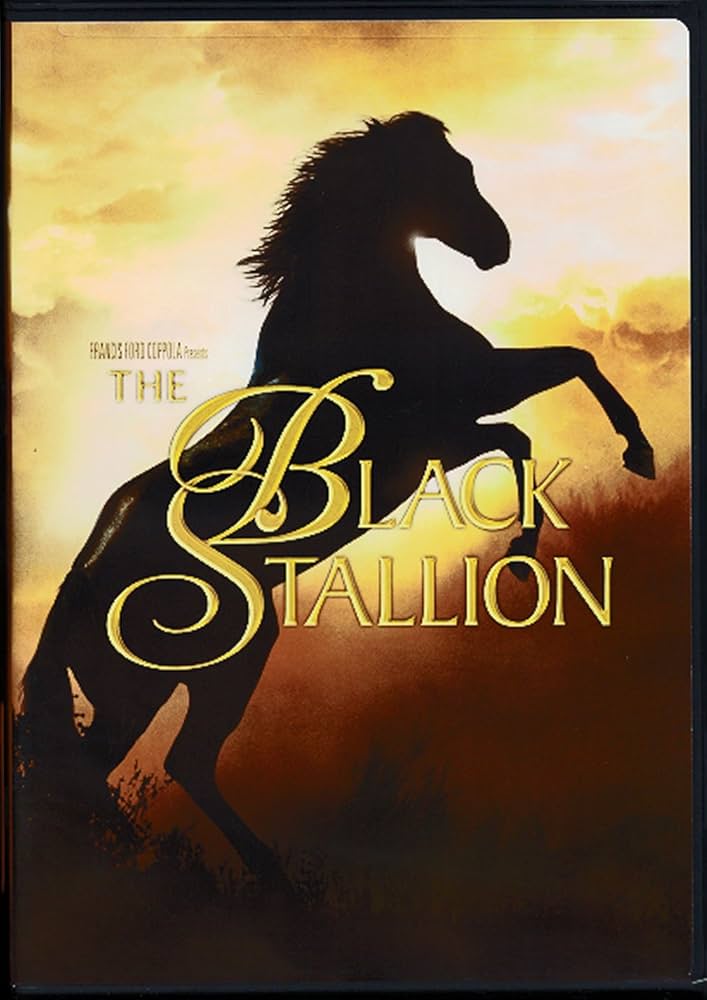 Amazon.com: Black Stallion, The (DVD) : Various: Movies & TV