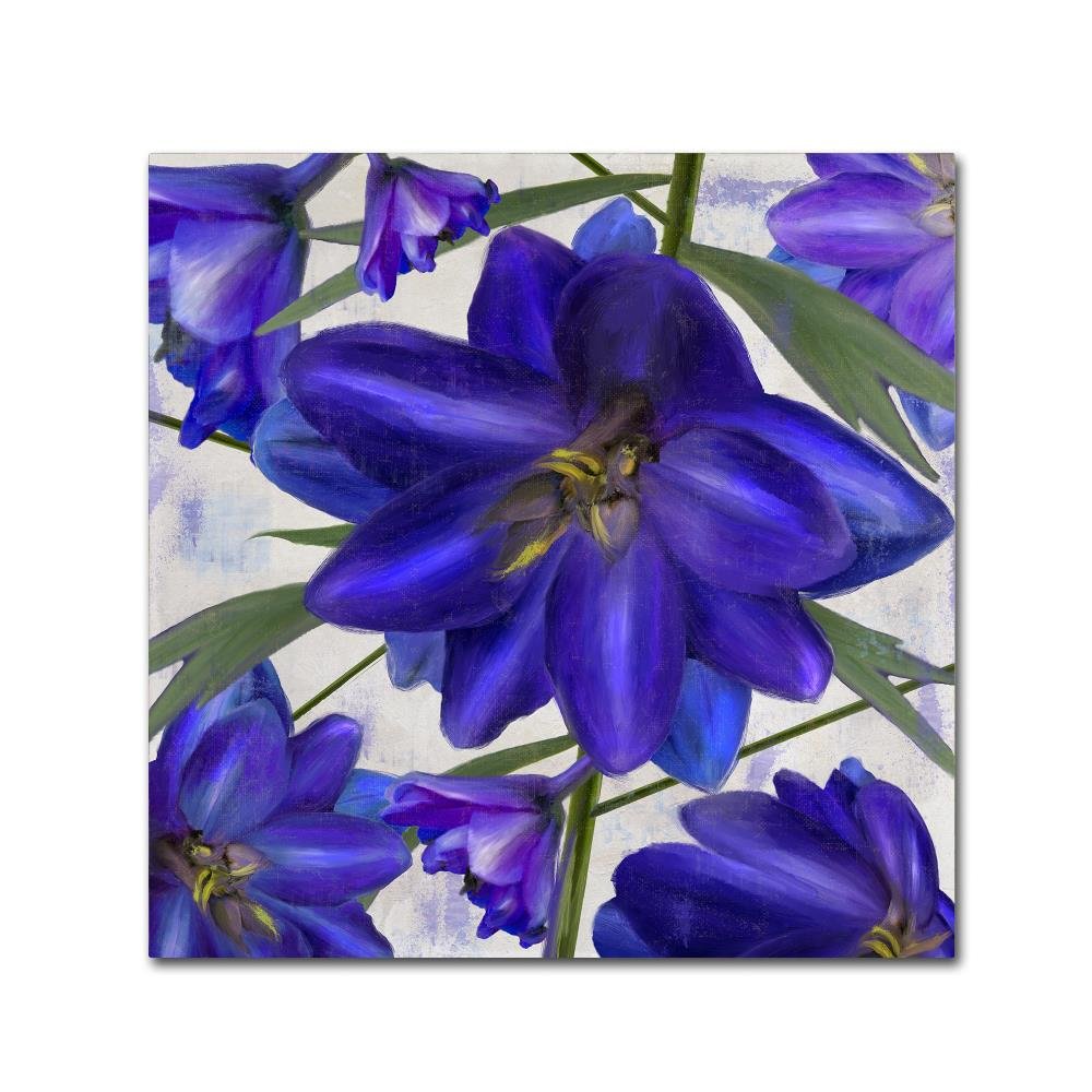 Delphine I by Color Bakery, 14x14-Inch Canvas Wall Art