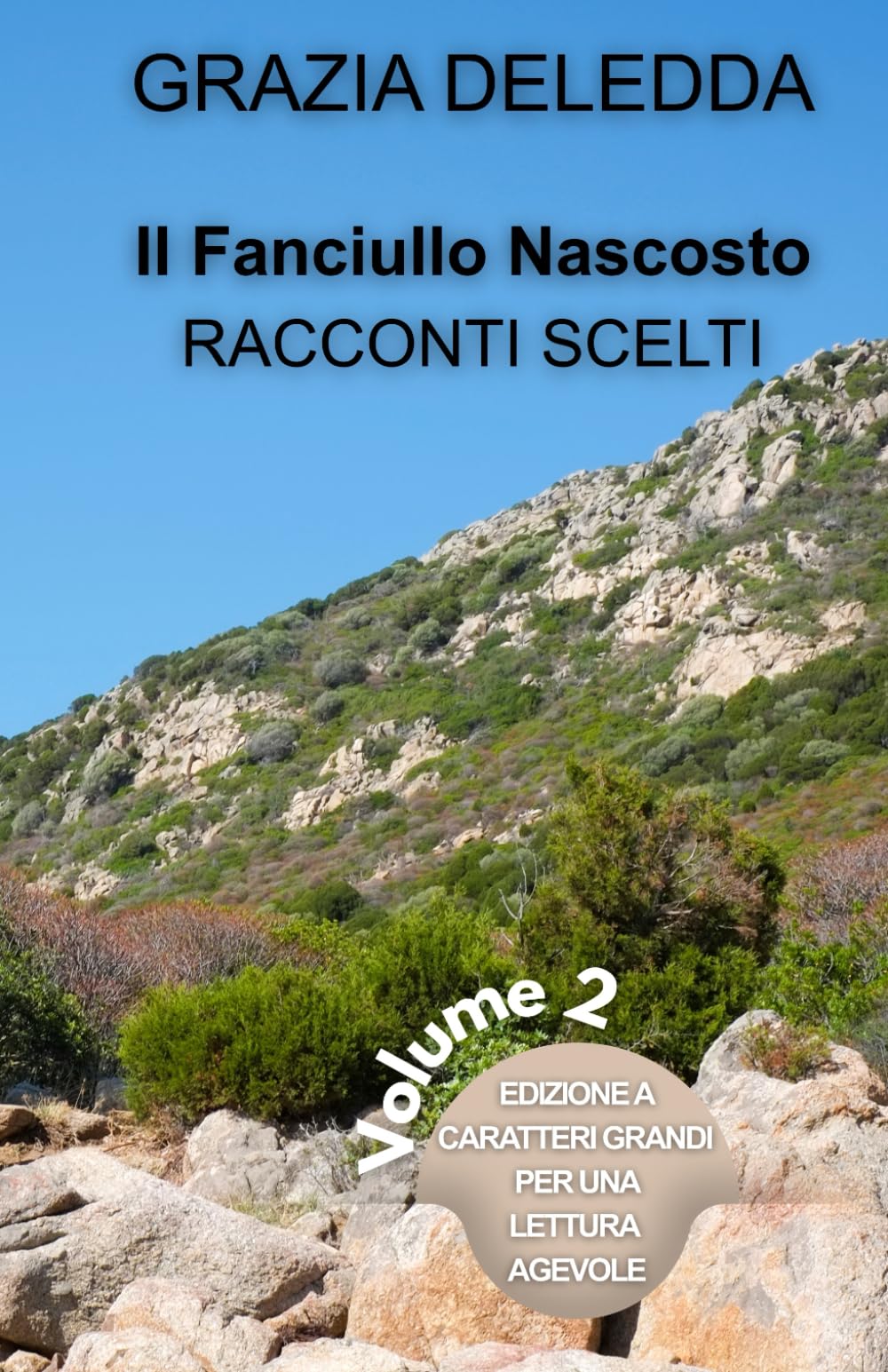 IL FANCIULLO NASCOSTO - NOVELLE SCELTE – volume 2: Edizione a caratteri grandi per una lettura agevole