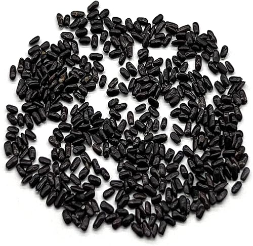 Miniatura 2 de The Old Farmer's Almanac Semillas de lavanda Heirloom (inglés común) - Aproximadamente 360 semillas - Sin OMG, polinizadas abiertas