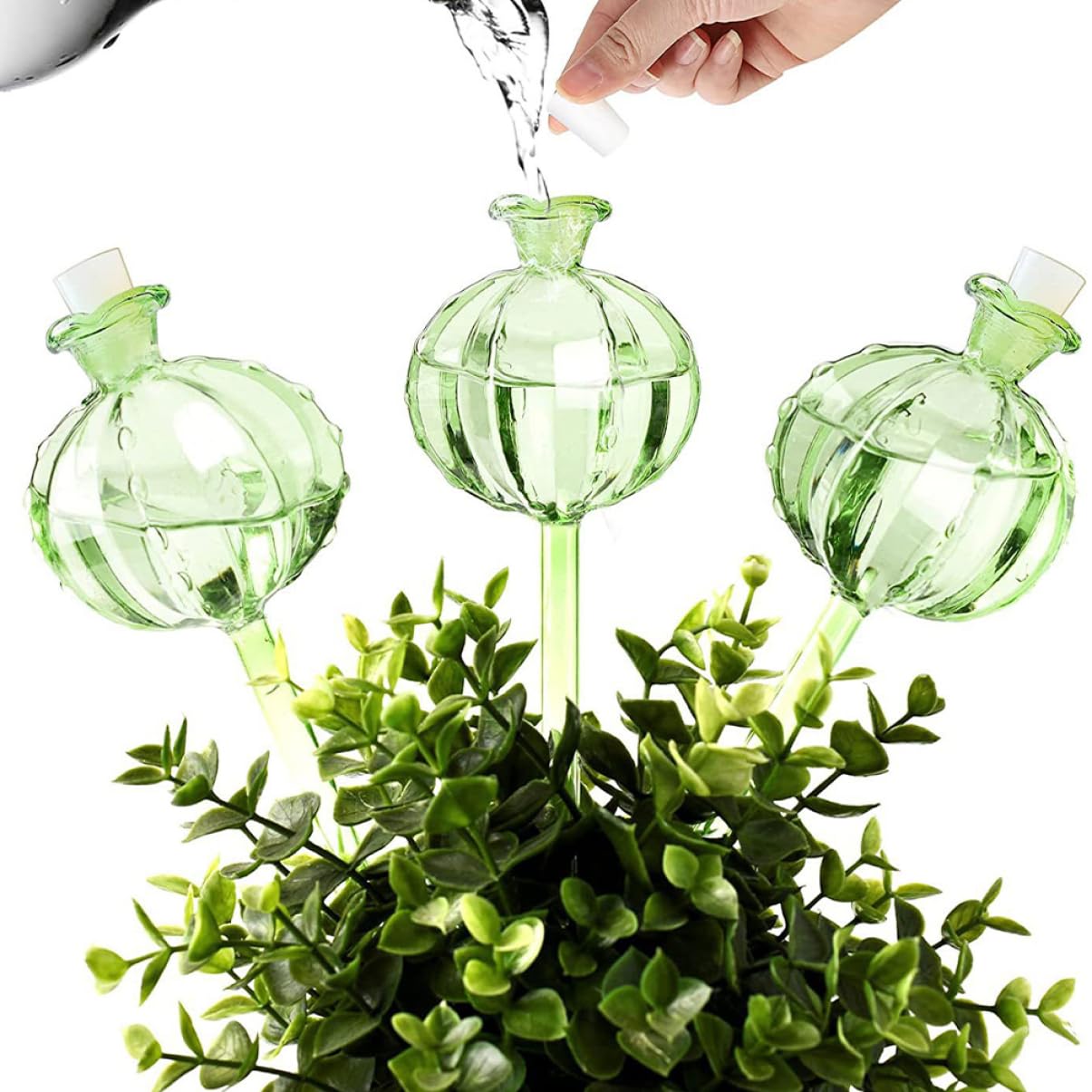 Globe à Fleurs à Arrosage Automatique 4pcs en Verre Borosilicate Vert