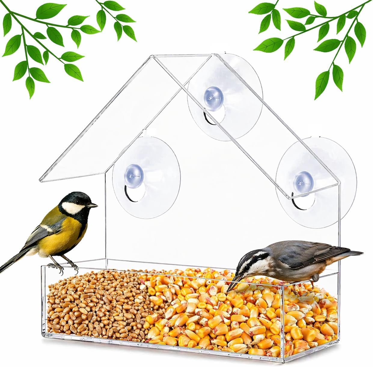 DIVCHI Clear Window Bird Feeder with Strong Suction Cups Plastic Wild Bird Feeder House Bird Seed Feeders for Garden Outdoor Backyard Wildlife Little Birds (8")