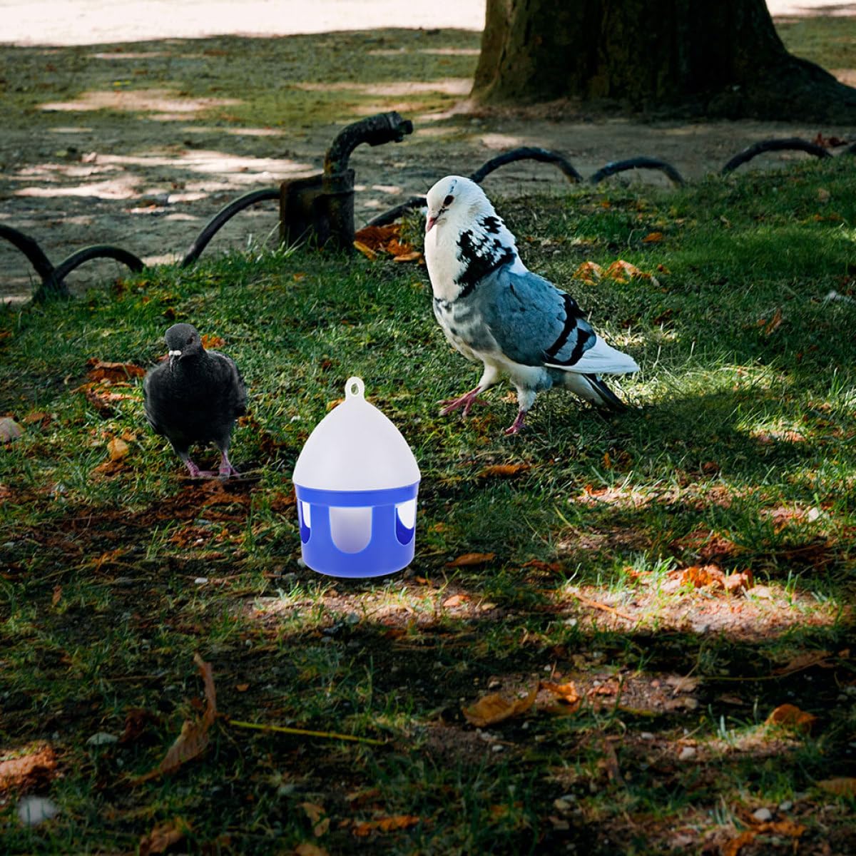 Abreuvoir Accessoire Pratique Lot de 2 Pièces en PVC 2l, Design Compact et Détachable pour pour Oiseaux en Volière ou Élevage