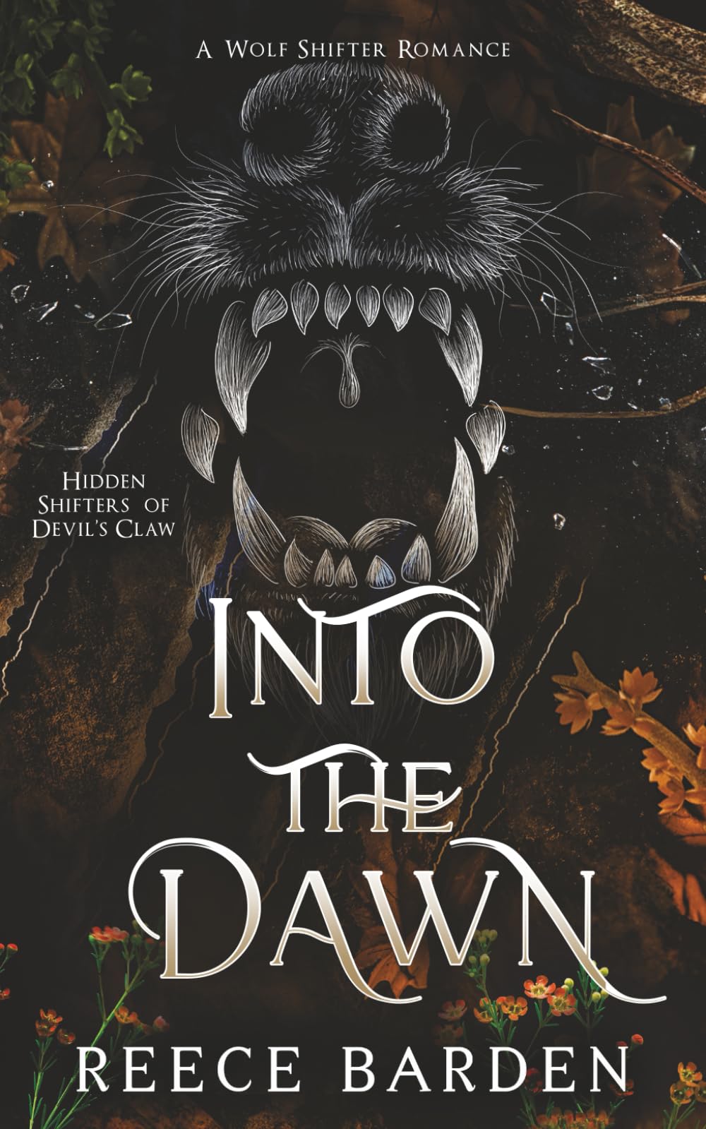 Into the Dawn: A Shifter Romance (Hidden Shifters of Devil's Claw)