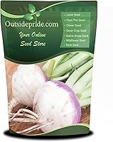 Outsidepride Purple Top Turnip Seeds 1 lb - High-Yield High-Protein Forage for Deer Food Plots, Livestock Grazing & Soil Improvement