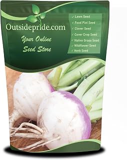 Outsidepride Purple Top Turnip Seeds 5 lbs - High-Yield High-Protein Forage, Deer Food Plot, Cover Crop & Soil Builder