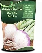 Outsidepride Purple Top Turnip Seeds - 5 Lbs High-Yield, High Protein Turnip Seed, Ideal Cover Crop, for Forage, Grazing Livestock, High Energy Deer Food Plot & Soil Improvement