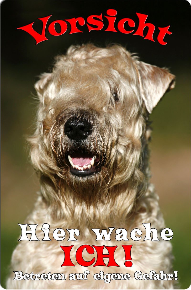 IRISH SOFT COATED WHEATEN Terrier Warnschild – Metall, 30,5x20 Cm
