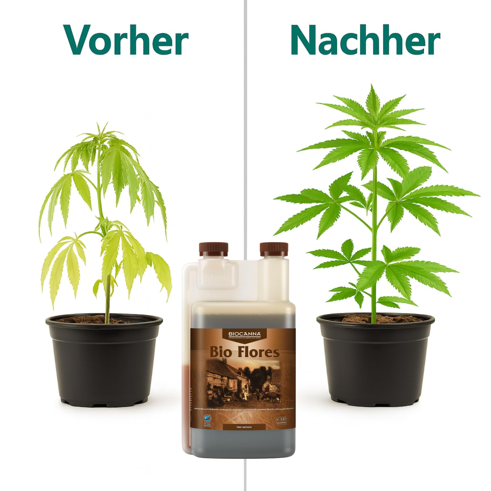 Weedness Canna Bio Flores 5 L – Engrais bio floraison grand volume