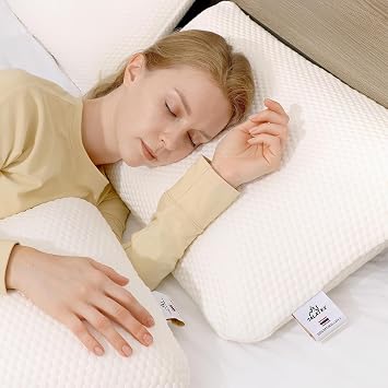 Talatex Breathable & Soft Pillowcase, Modern Wrinkle-Resistant Pillow Cover, Washable Removable Pillow Protectors, Fits Standard, Queen & King Pillows, for All-Season (Tencel, Queen (Set of 2))